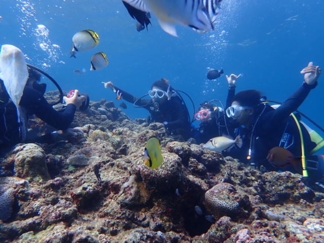 łYȔMыɈ͂܂ċ̉aty߂Ⴂ܂I