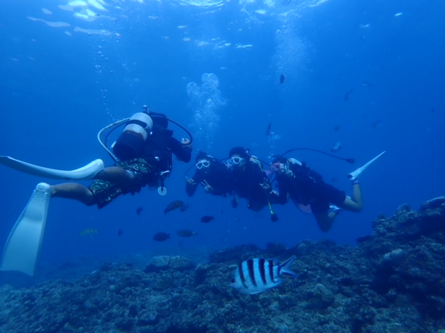 ɂȂCXgN^[̎ŎRɉj̑R܂