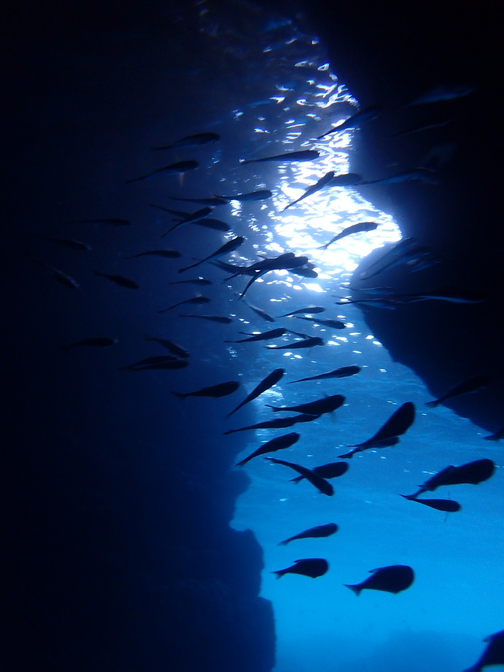 サップの後は少し休憩してから有名な青の洞窟へ