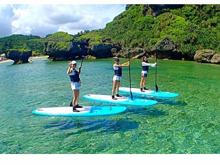 熱帯魚も見えちゃうよ!