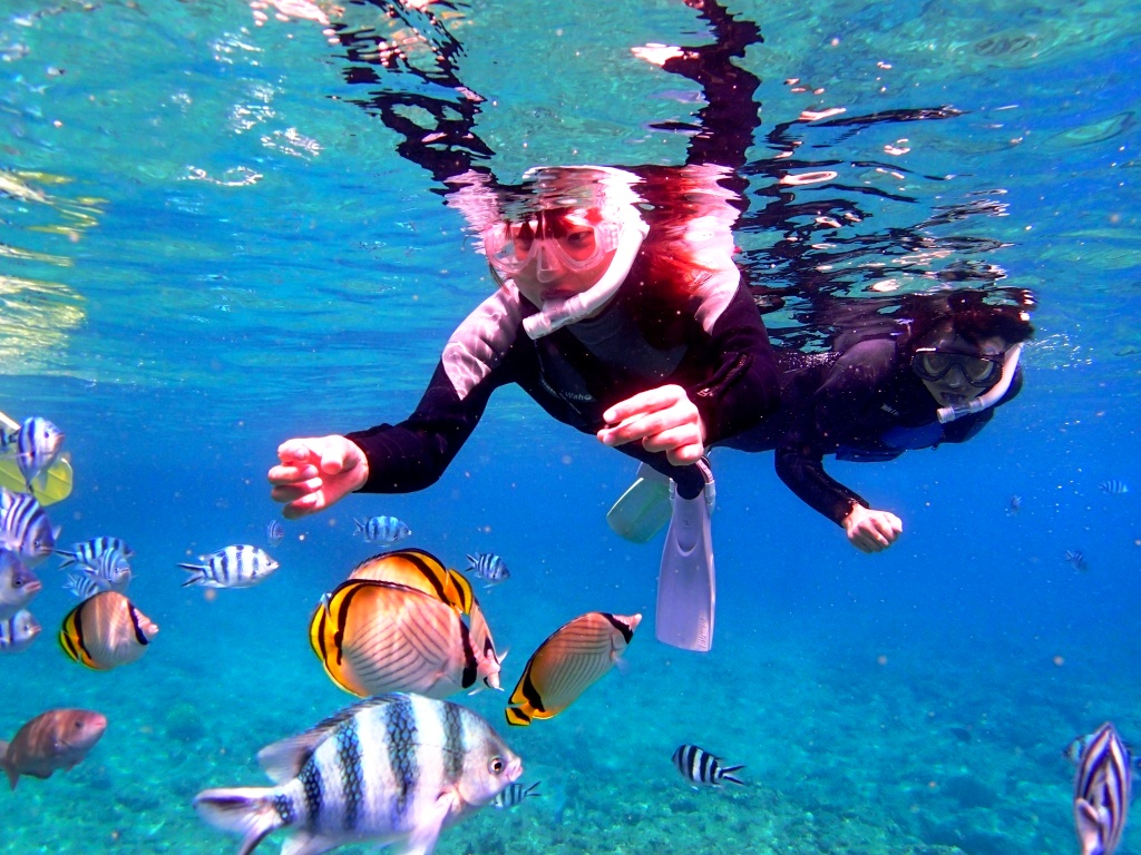 ���������ς��I