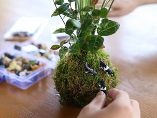 ジオラマ風パーツはたくさんご用意しておりますので、好きなパーツを付けてオリジナルの苔玉に仕上げましょう♪