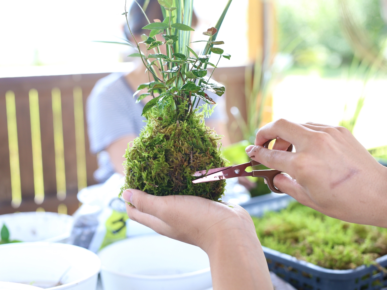 巻きつけた苔などをハサミでお好きな形に整えます。
