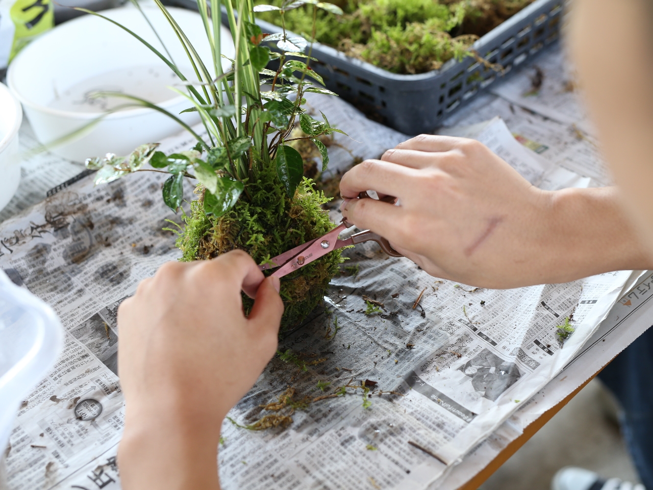 巻きつけた苔などをハサミでお好きな形に整えます。