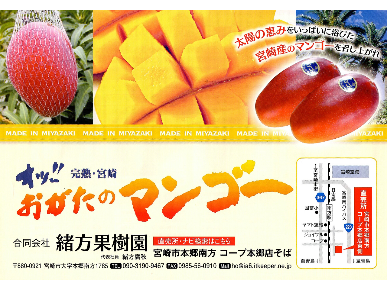 無料オプション!6月〜8月の季節限定!宮崎完熟マンゴー農園ツアー!産地直売!試食も可!