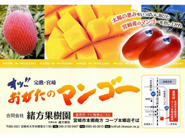 6月〜8月までの季節&サーフィン体験者限定!宮崎完熟マンゴー農園ツアー!産地直売も有り!試食も可!