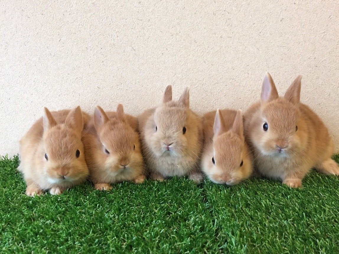 みんなで仲良く整列♪