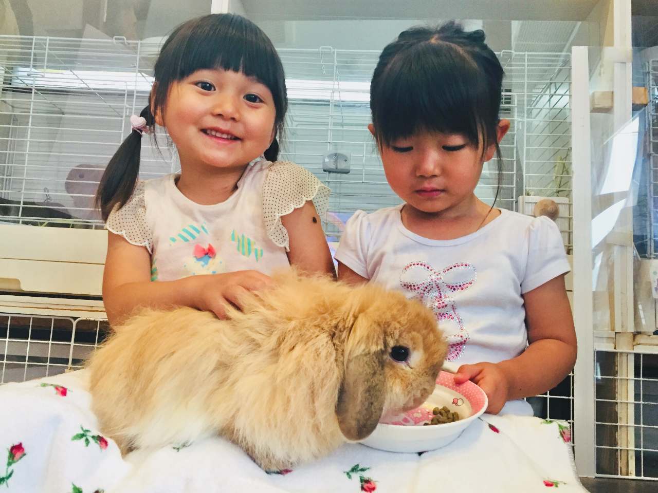 ���҂��̂��q�l�����炵���Ȃ���΁A�ӂꂠ���̉������\�ł��i�ǉ������͔����������܂��j�B�������������߂ł��I