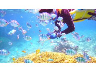 カヤックだけじゃ物足りない!もっと近くでお魚と触れ合おう〜♪