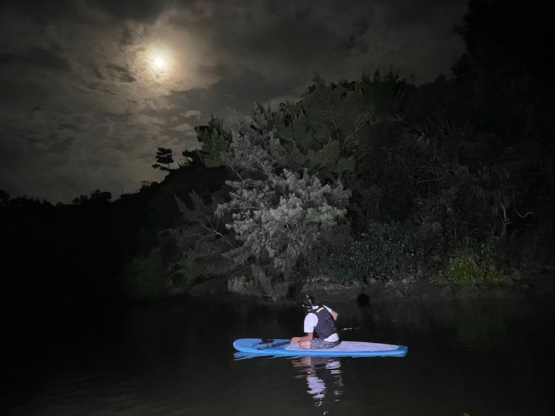 ナイトマングローブツアーは見どころ沢山!