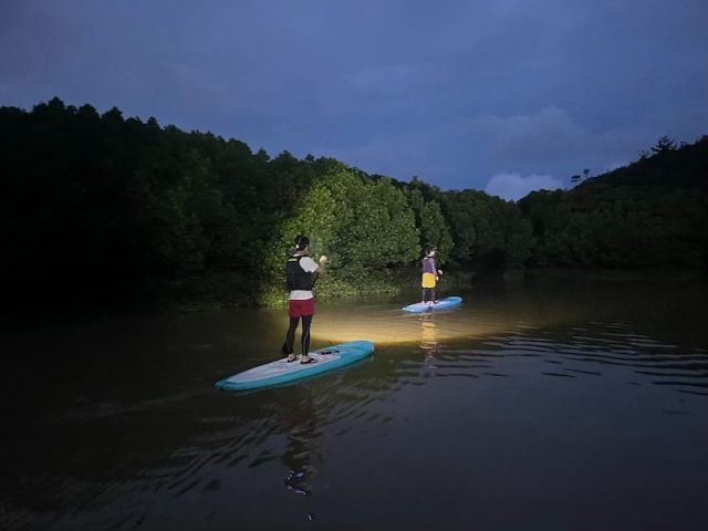 スタート時間によっては夕暮れ時の時間帯から始まります 昼と夜の生き物が交差する時間です