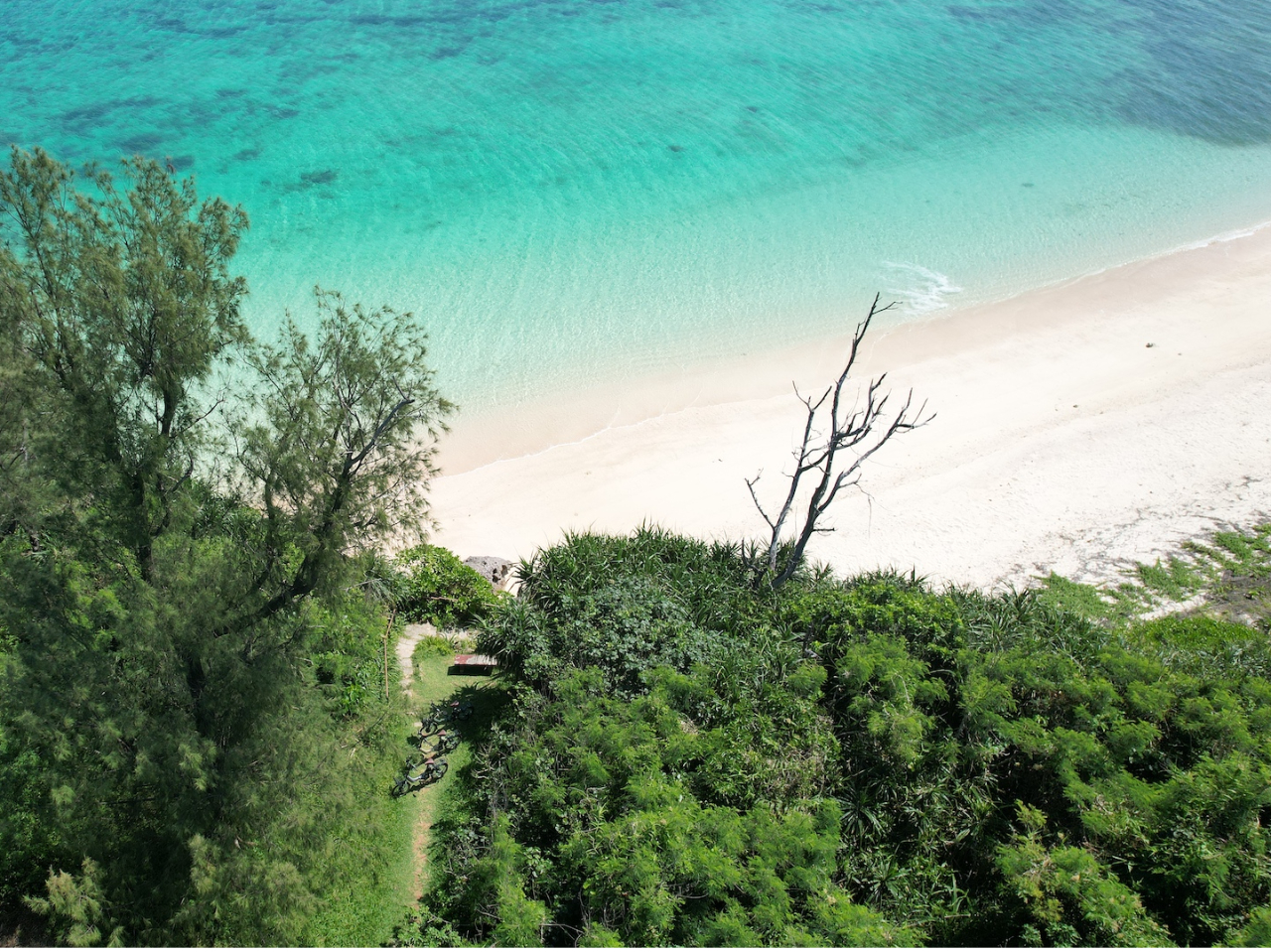 lȂVRr[`͂̃NIeB[II܂ɔ鋫̊y