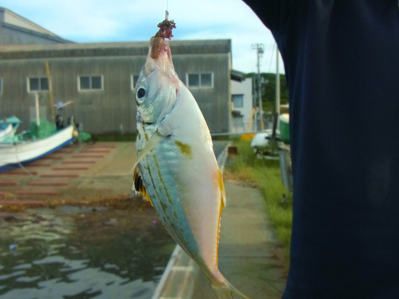 R̊CނグĆATCY킸młIނ邩͂y݁hLhLNNȂGLTCeBOȑ̌𖞋iĂI