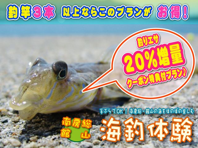 海釣り体験 じゃらん限定特典付 釣竿3本 釣りエサ 増量クーポン進呈 エサの分だけ魚も釣れる 大漁目指してレッツギョー レンタル釣竿 90分コース 千葉県 南房総 館山市 館山港 海釣り体験 レンタル釣竿 まるへい遊び隊 受付 海辺の 海釣り体験 じゃらん限定特典付 釣竿3本 釣りエサ 増量クーポン進呈 エサの分だけ魚も釣れる 大漁目指してレッツギョー レンタル釣竿 90分コース 千葉県 南房総 館山市 館山港 海釣り体験 レンタル釣竿 まるへい遊び隊 受付 海辺の