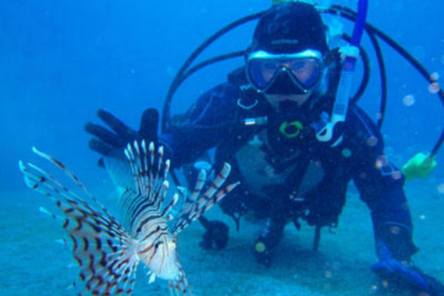 <2ビーチファンダイビング>ライセンス保有者向け! 14600円