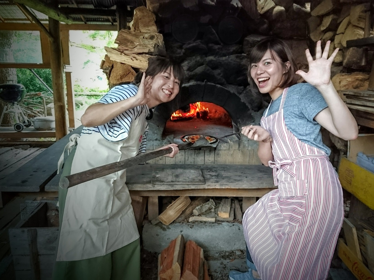 nłłΗqōɏĂ܂BĂԂ͖R`S