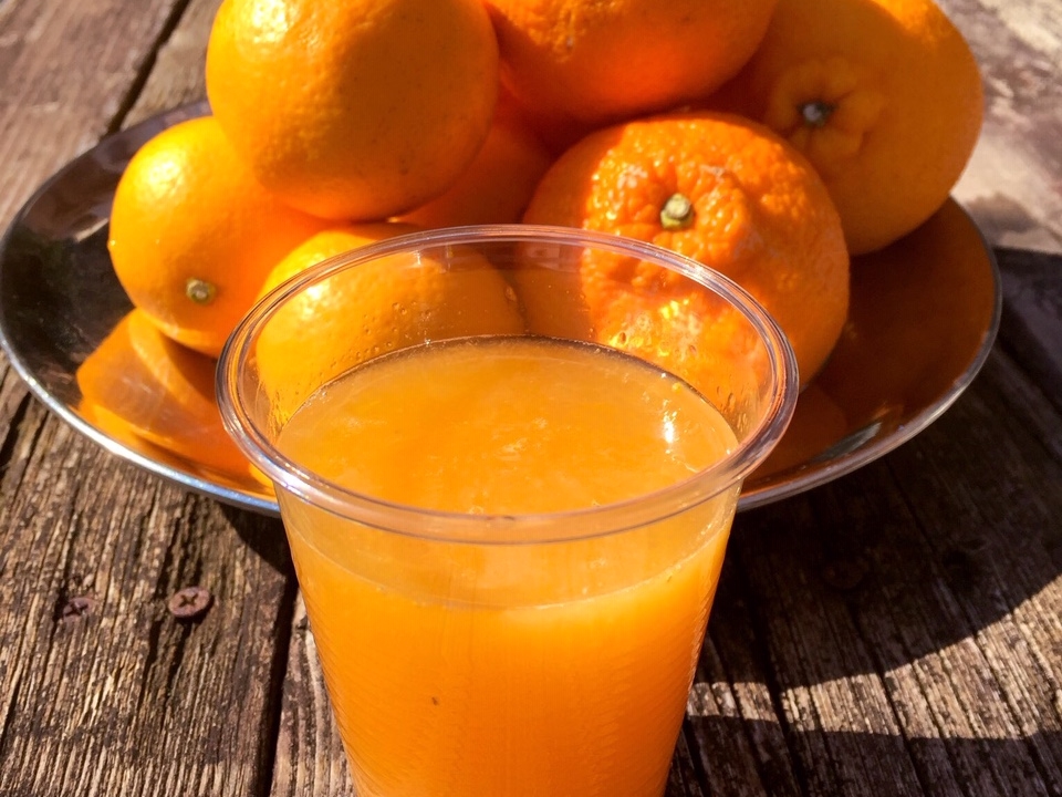 時期により2種類の柑橘をブレンドした生搾りジュースを提供しています。他では飲めないような物が飲めるかも!