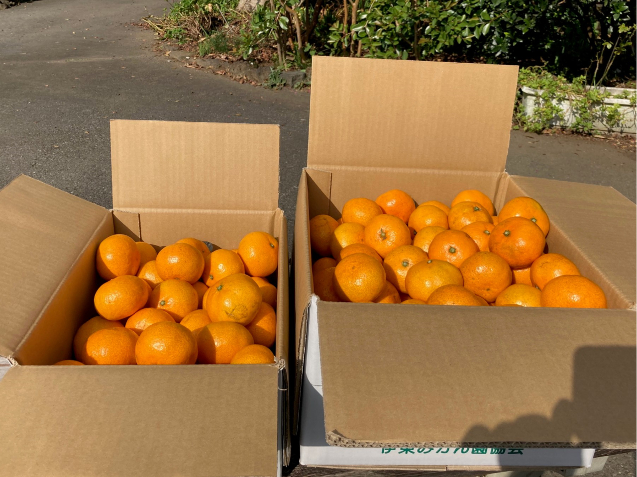 地方発送もしています。