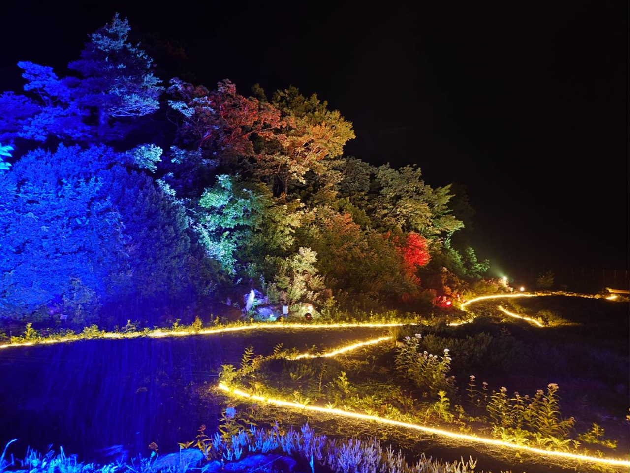 ナイトゴンドラ星空空中さんぽDEライトアップ/みやぎ蔵王えぼし