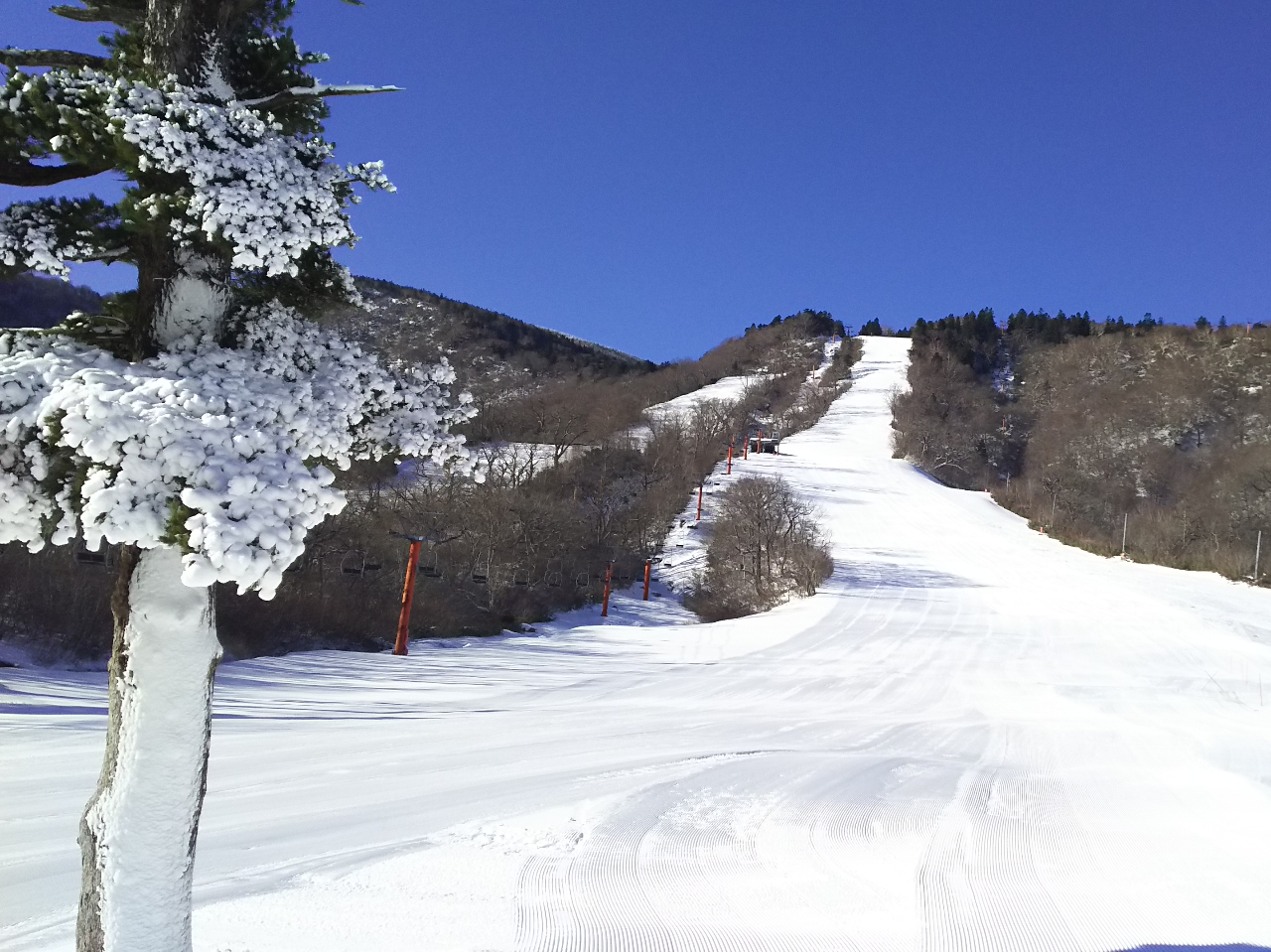 NEW】スキースノーボードみやぎ蔵王えぼしスキー場ゴンドラリフト6時間