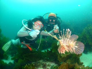 日帰りでも全然OK!!
お気軽にご参加いただける初島・体験ダイビング。