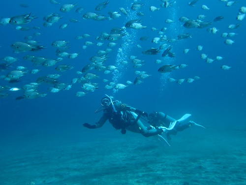 11月~5月【体験ダイビング】ドライスーツで冬場も海を満喫♪9時~13時/初心者...