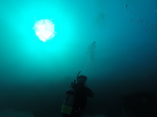 11月~5月【Cカード保有者向け/2ビーチファンダイブ】冬季限定ドライスーツ無料...