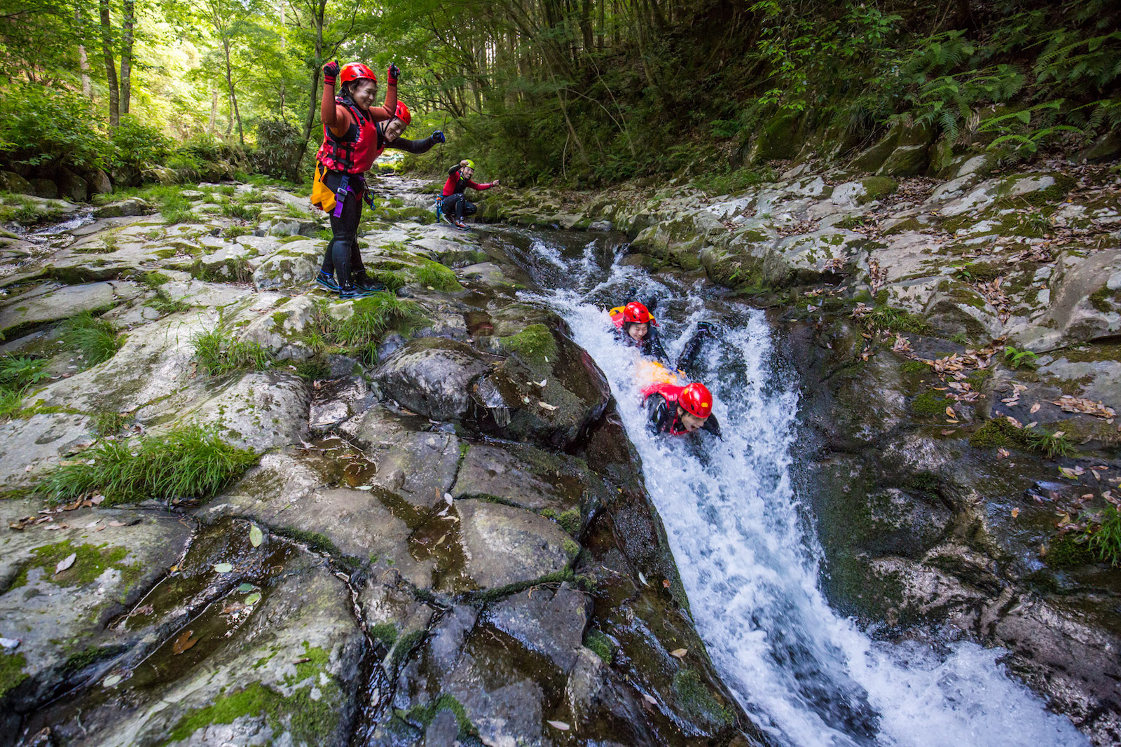 R̃EH[^[XCfBOŎvy񂶂ႨI