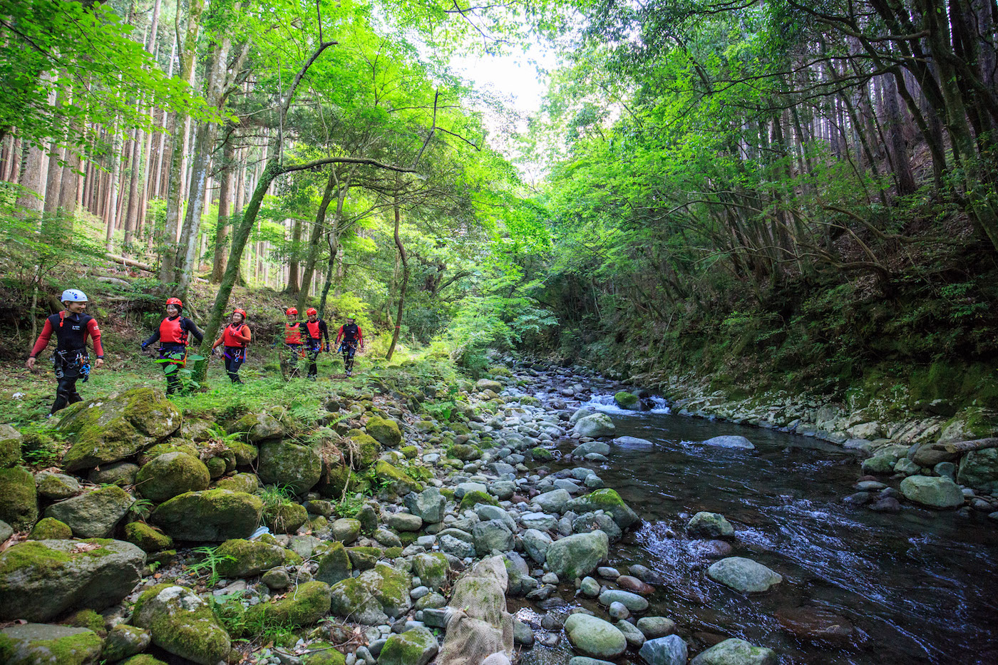 LjIjOR[X̉͗VĂ̂ł݂Ȃ̒ڂ̓I