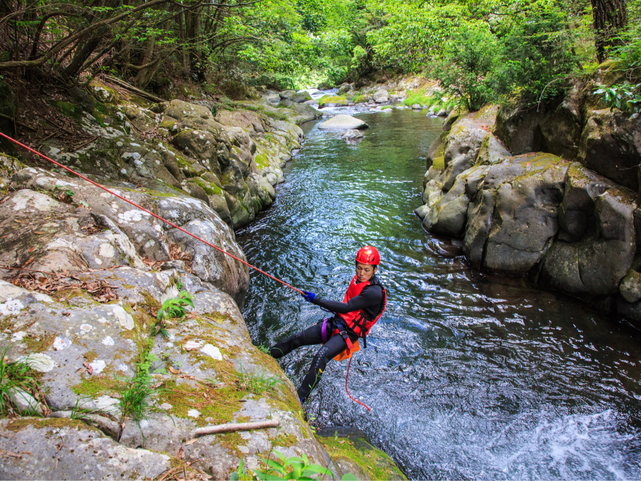 [vgAgNV܂iʂɂeς܂j