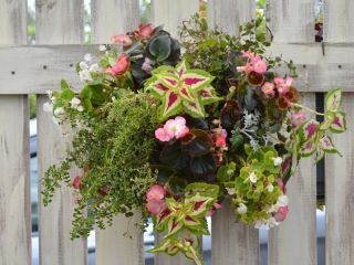 宇都宮市下栗町季節のハンギングバスケットレッスン 女性にオススメの体験プラン Florarie じゃらん遊び体験 宇都宮市下栗町季節のハンギングバスケットレッスン 女性にオススメの体験プラン Florarie じゃらん遊び体験