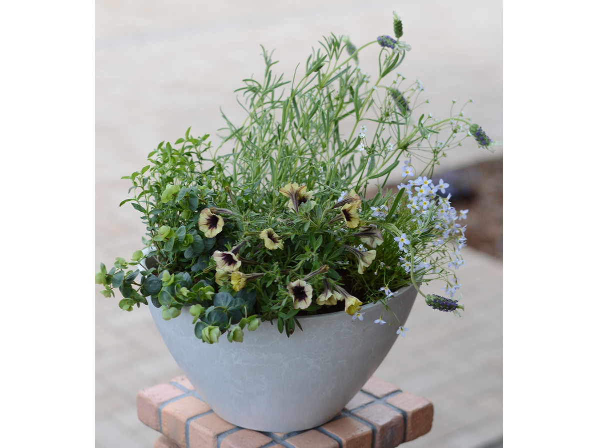 摜̓C[WłBԂ┫͂̎݌ɂĂ̂ɂȂ܂Bv~AȕcIђꍇ͒ǉKvȏꍇ܂B