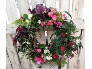 画像はイメージです。お花はその時在庫してるものになります。プレミアムな苗をお選び頂いた場合は追加料金が必要な場合もあります。