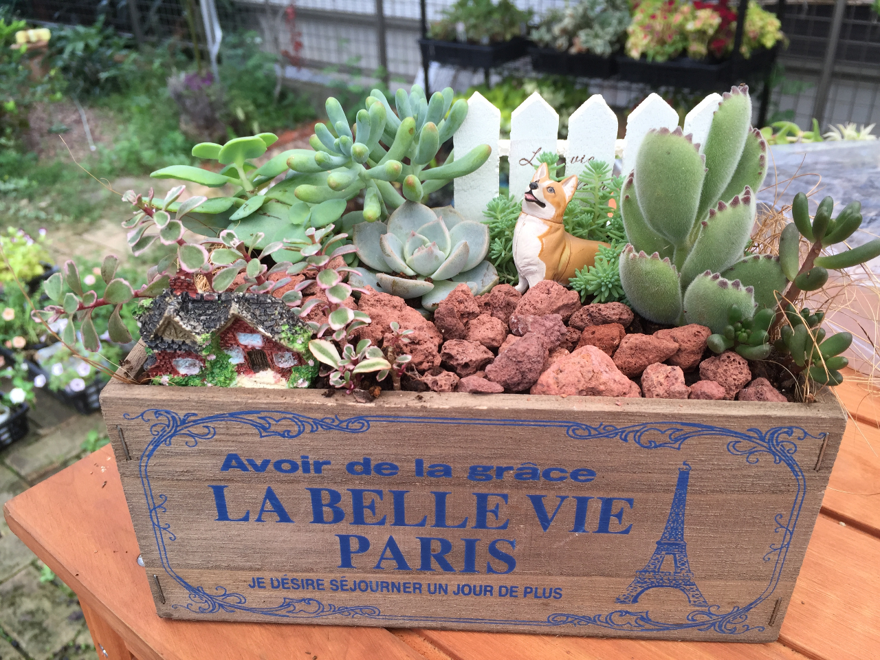 【オンライン体験】多肉植物箱庭レッスン