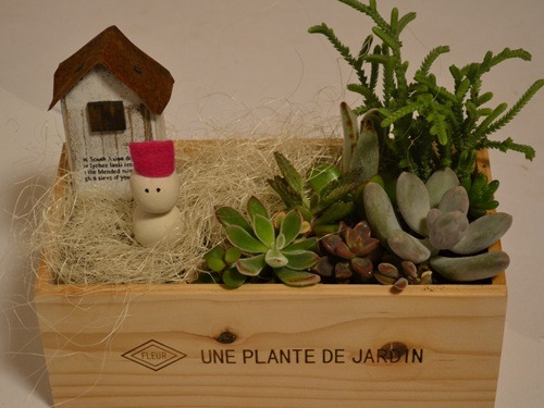 多肉植物　箱庭 ♪ 多肉植物箱庭💕 🫧 #多肉植物箱庭 #多肉植物寄せ植え