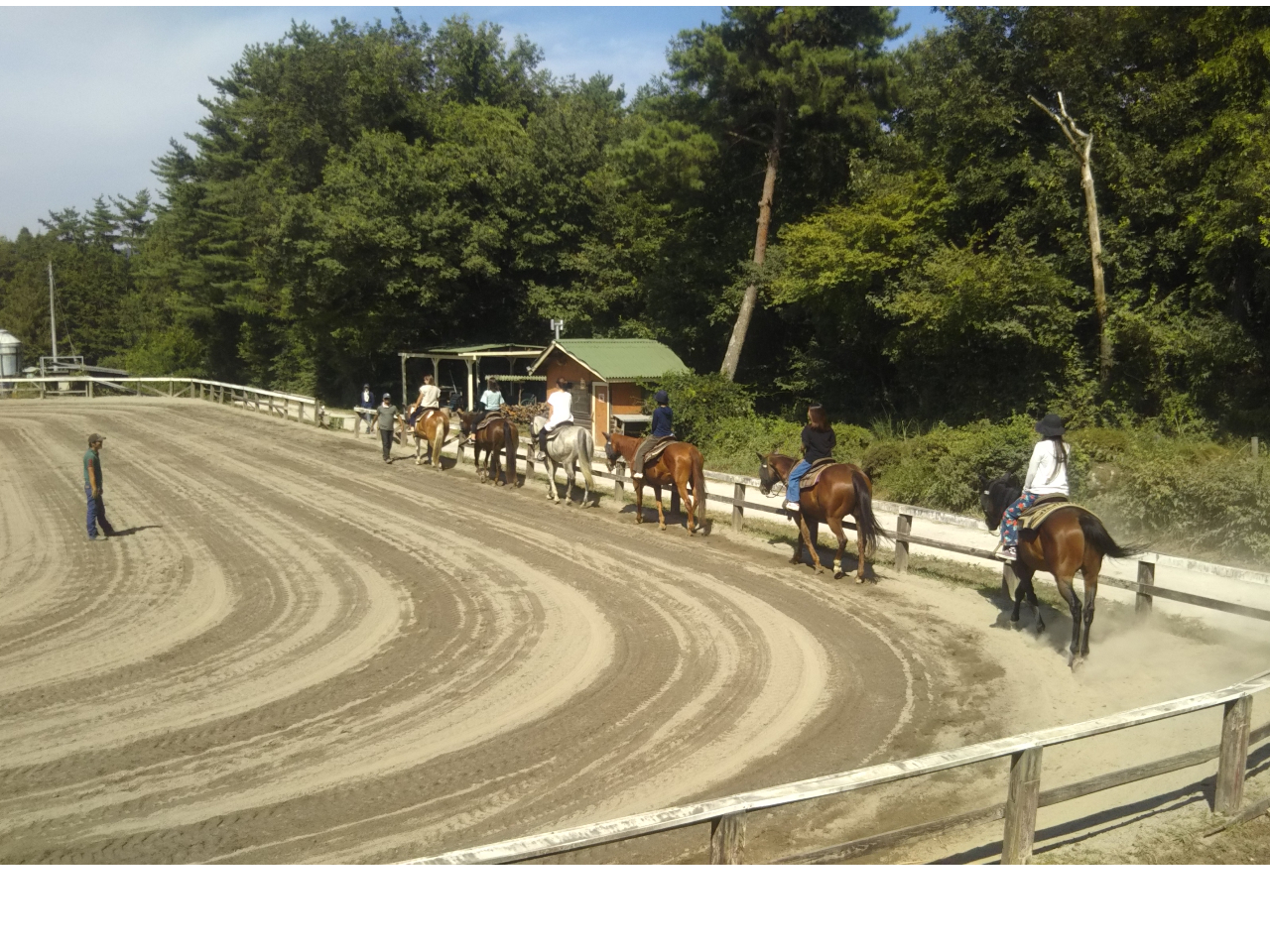 15�����b�X��