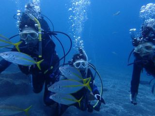 のんびりと魚と一緒に泳ぎます。