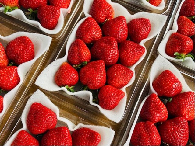 濃厚なあまおう!ここでしか味わえない感動の味!後を引く旨み!