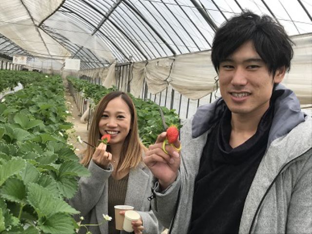 12月お客様お写真 高設風景