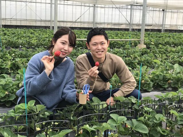 12月お客様お写真 土耕風景