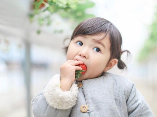 安心安全に配慮した美味しい完熟イチゴを「ぱくりw」