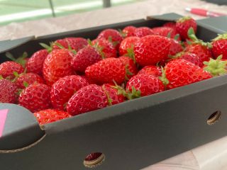 蓋が閉まるまで詰め放題!!でお得感満載^^