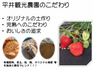 こだわりポイント! 〜有機肥料と自家製たい肥をブレンドすることによりあまおうの旨味を引き出しています〜 唯一無二の旨味と後味!