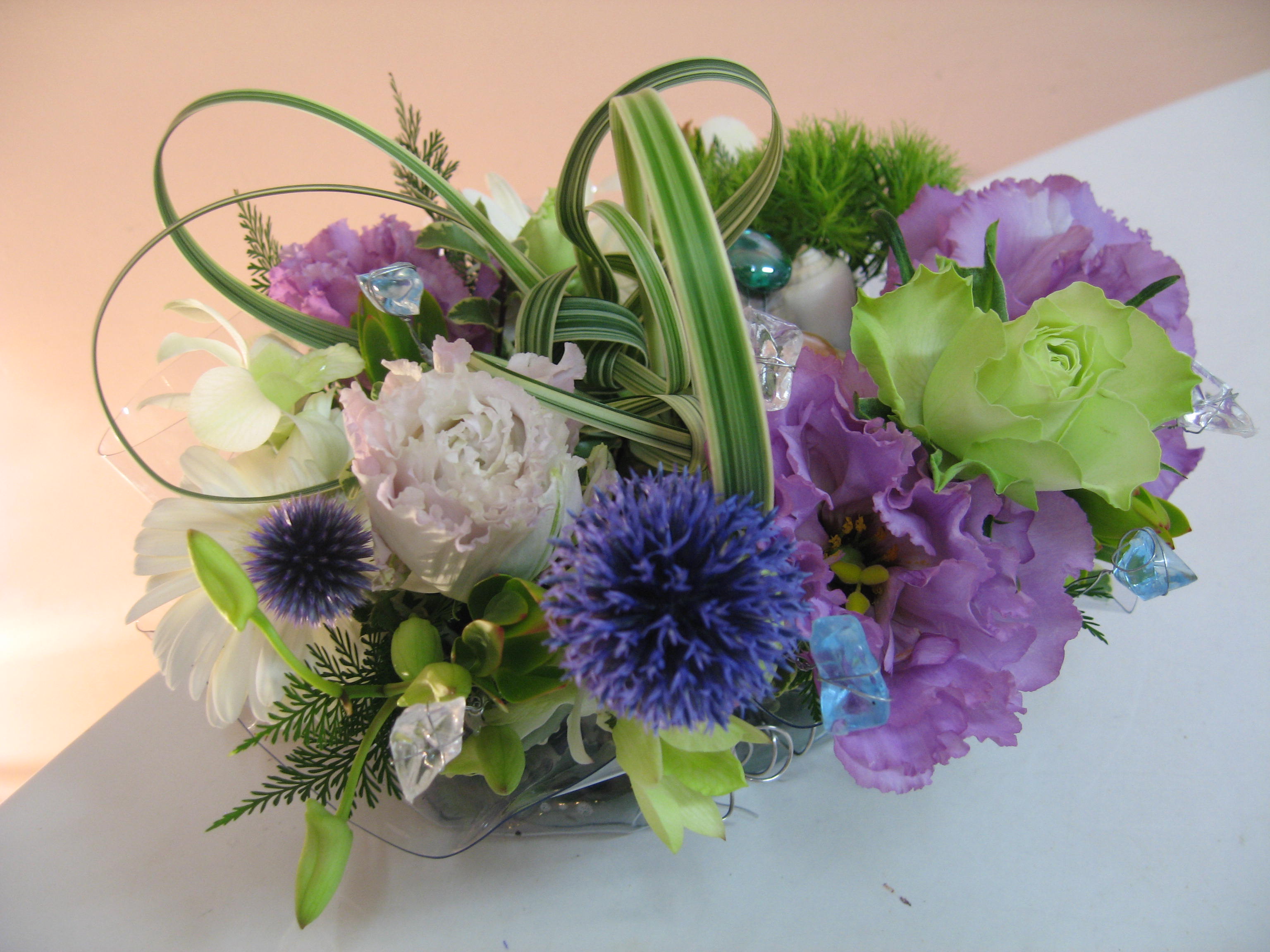 G߂ɗ^ԗ̉Ԃ̃AWAbellet[YIWi
[rj[V[gŎjŏ₩ɁI