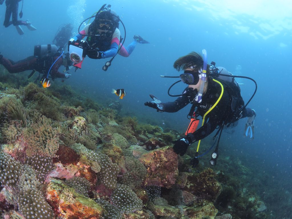 ライセンスを取るとこんな風に遊べます