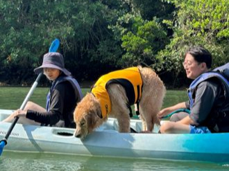 ₩ȔӐ̃}O[uƈꏏɊώ@Ă݂悤