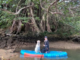 愛犬と一緒にリバーサップ♪