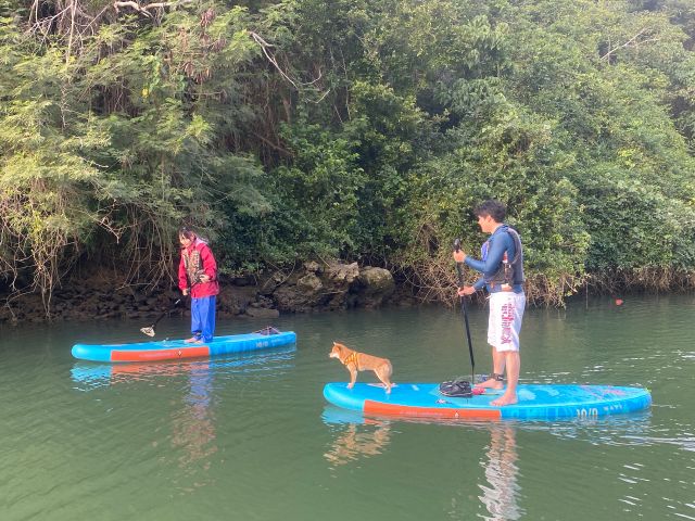 比謝川の川は、流れが穏やかなので、ゆったりワンちゃんと一緒に楽しむことが出来ます☆