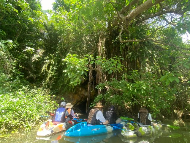 炵WOX|bgňx݁B肢ȂĂLWi[Zł邩IH