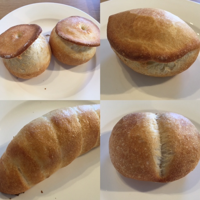 VsjIE\[Z[W[E^oeBG[EtHf